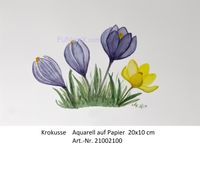 Krokusse